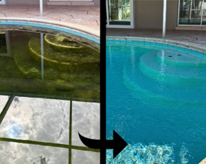 green pool before and after