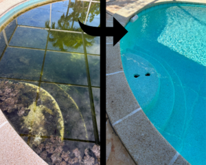 green pool before and after